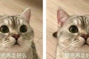 国产高清爽推理片2024,揭秘迷雾重重，探寻真相之旅
